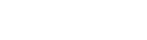 Avada SEO